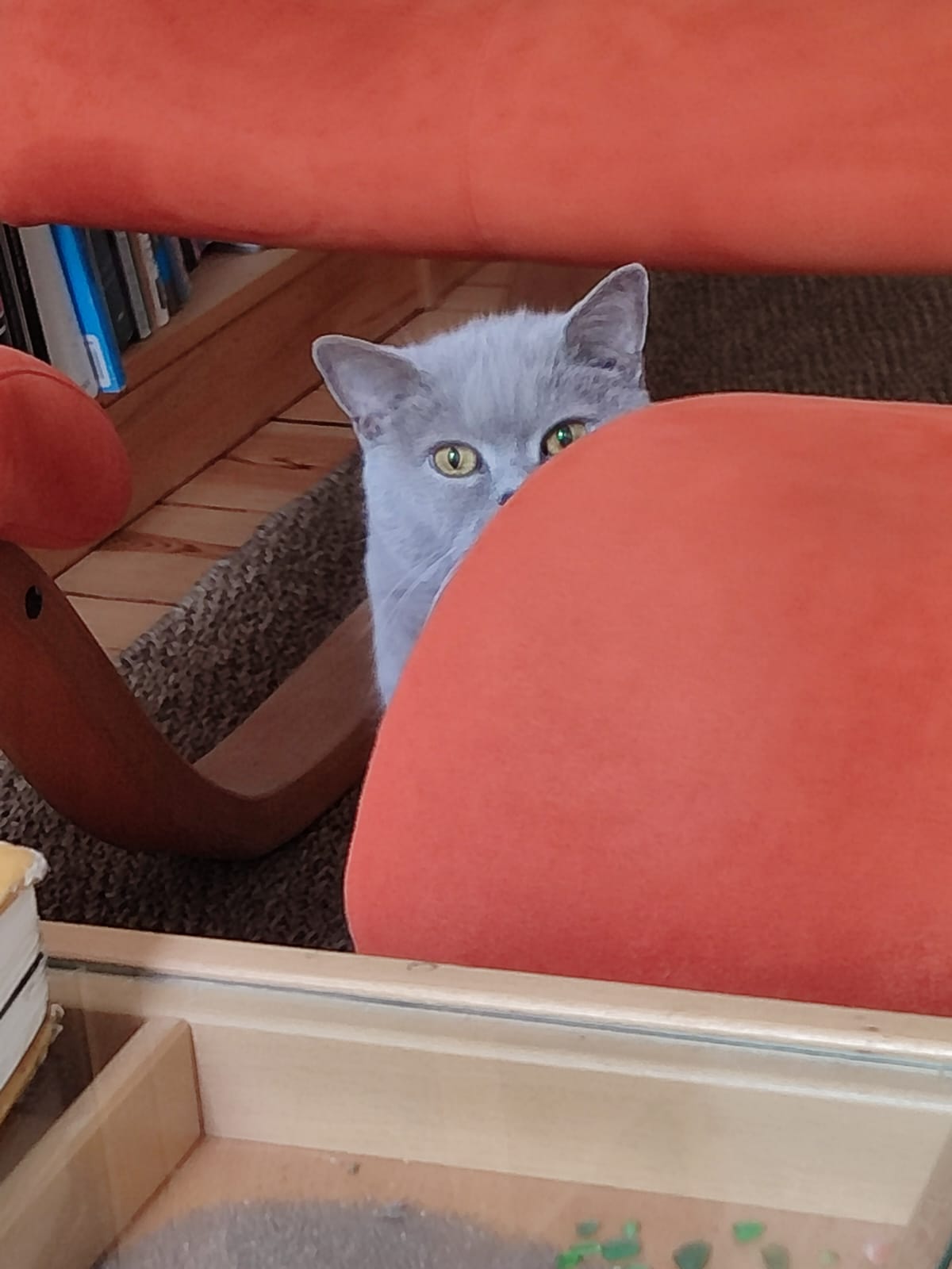 EGAL: Why Fit in When You Can Stand Out?