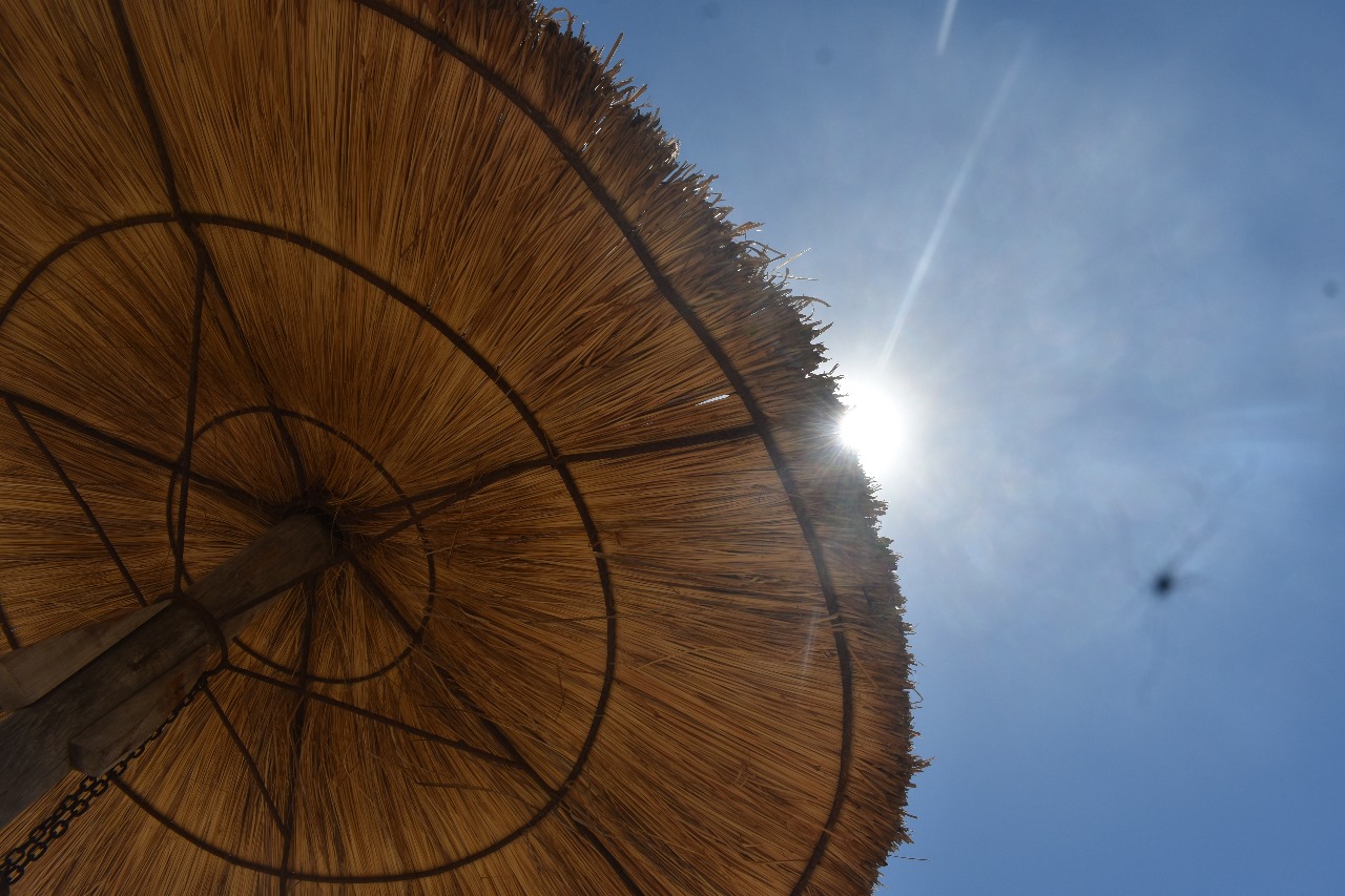 10 Amazing Things to Do in Palma de Mallorca (With Tips)
